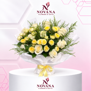 إشراقة عاجية